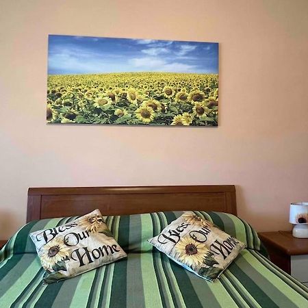 Vicino A Tutto Bed & Breakfast Vercelli Exterior photo